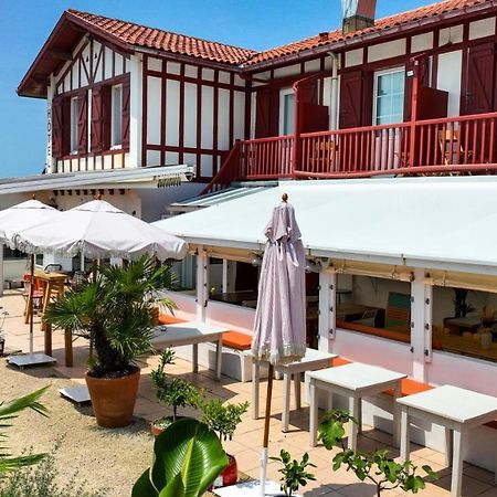 Capybara Hotel บีดาร์ ภายนอก รูปภาพ