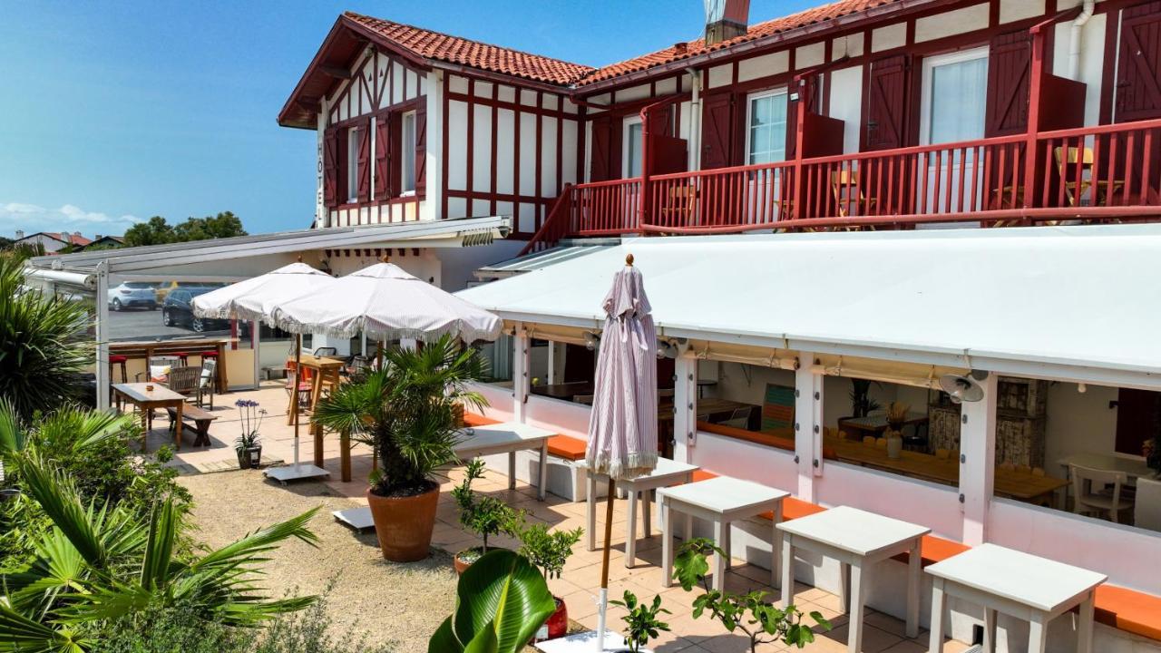 Capybara Hotel บีดาร์ ภายนอก รูปภาพ